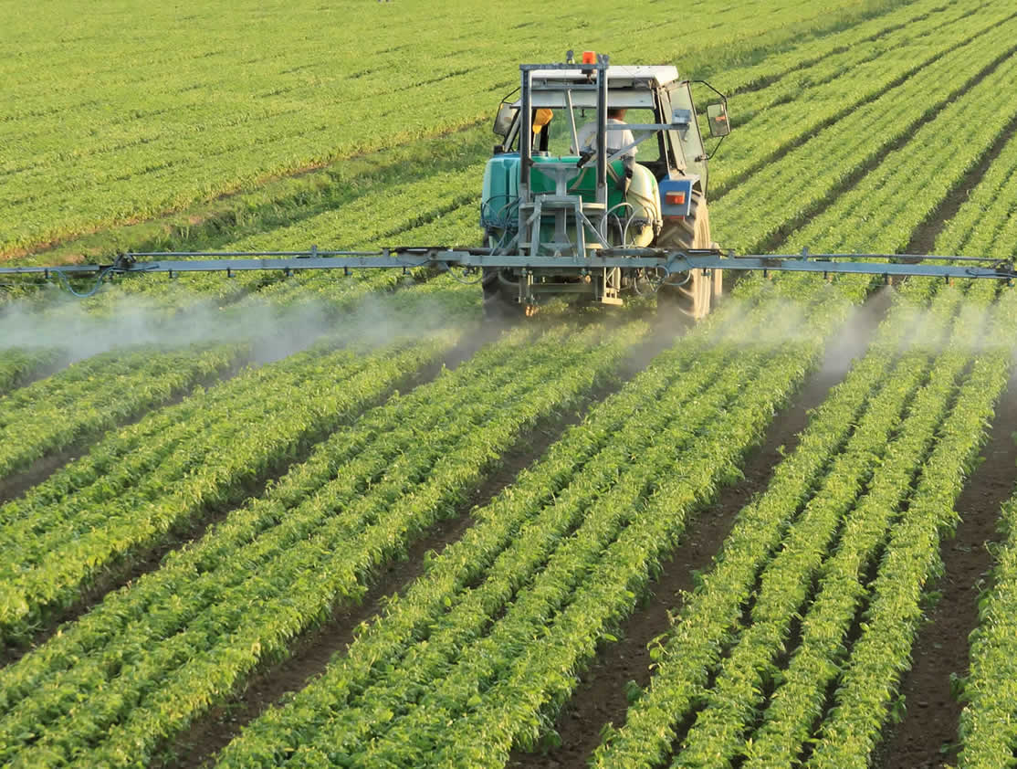 Valores Rosario Legales